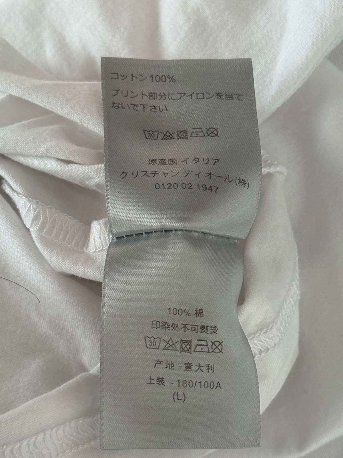Dior Daniel Arsham White & Blue Eroded Logo T-Shirt