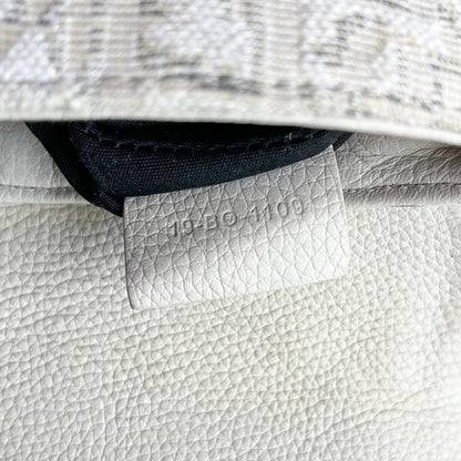 Dior Oblique Off-White Saddle Bag