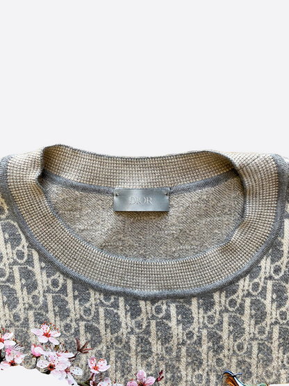 Dior Sorayama Oblique Grey Dinosaur Cashmere Sweater