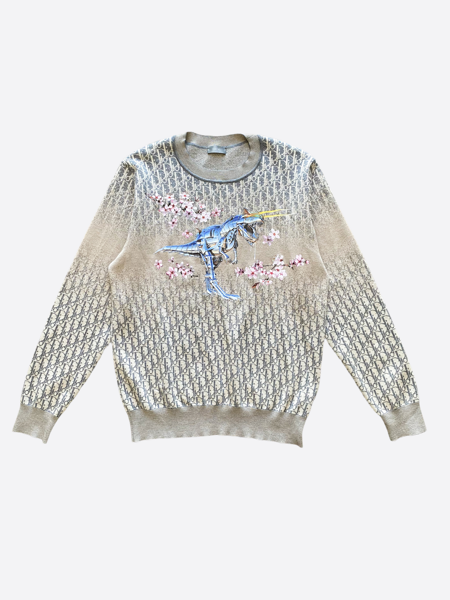 Dior dinosaur sweater sales