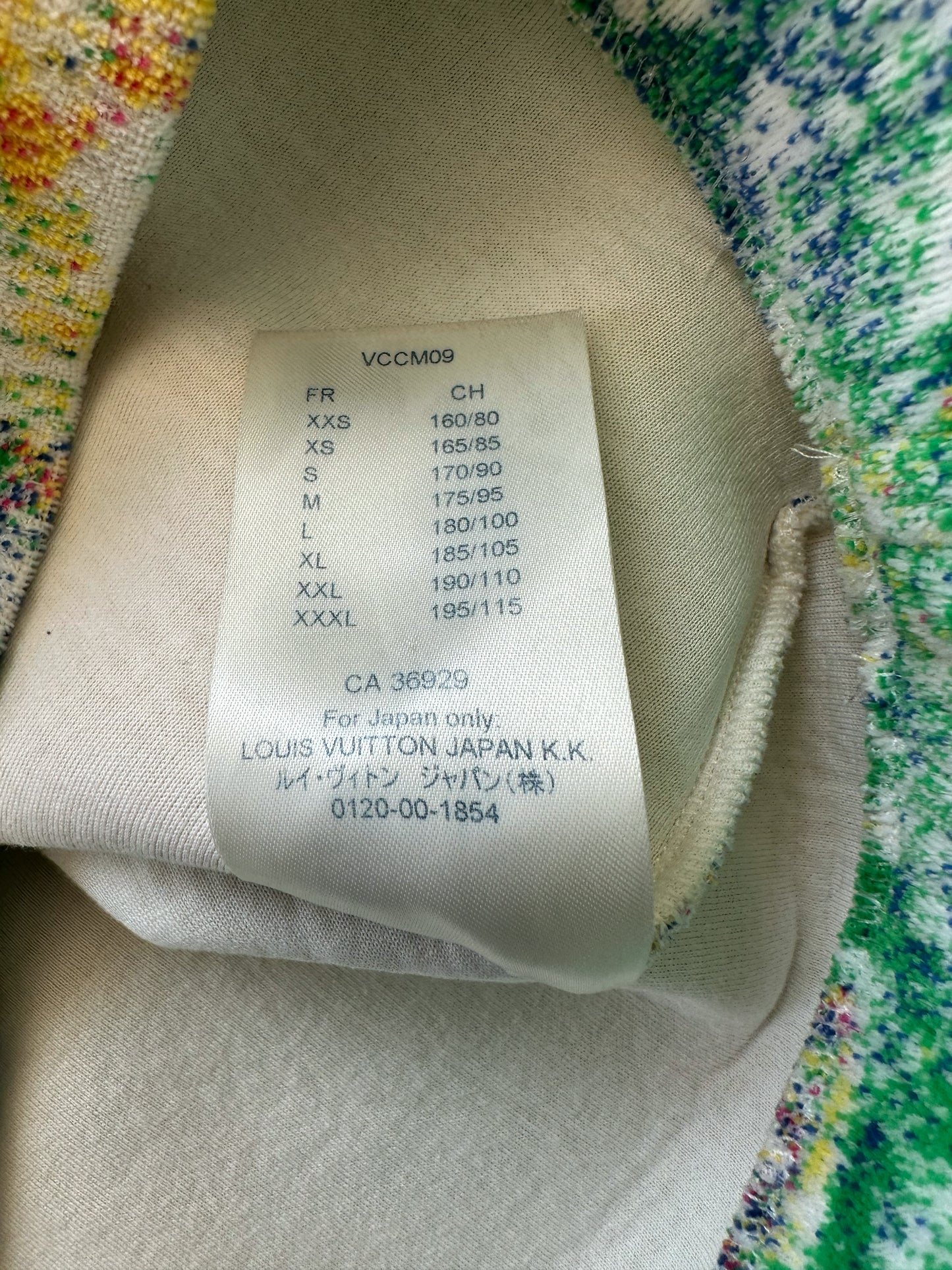 Louis Vuitton Multicolor Pastel Monogram Hoodie