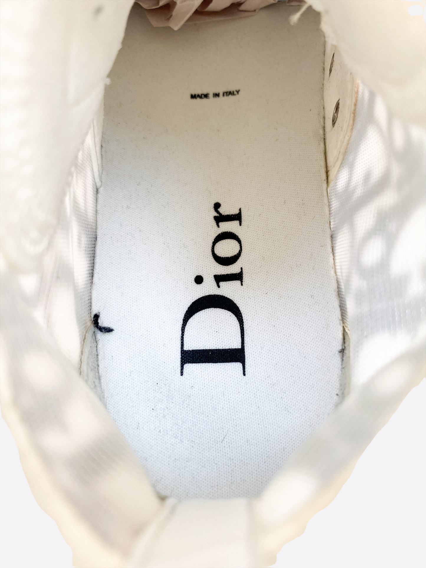 Dior Oblique Black & White B23 Women's High Top Sneaker