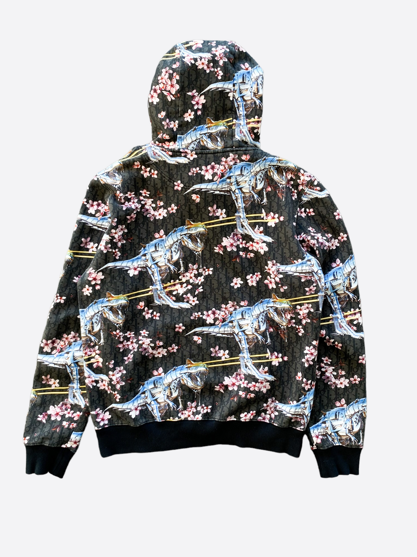 Dior Sorayama Oblique Dinosaur Hoodie Savonches