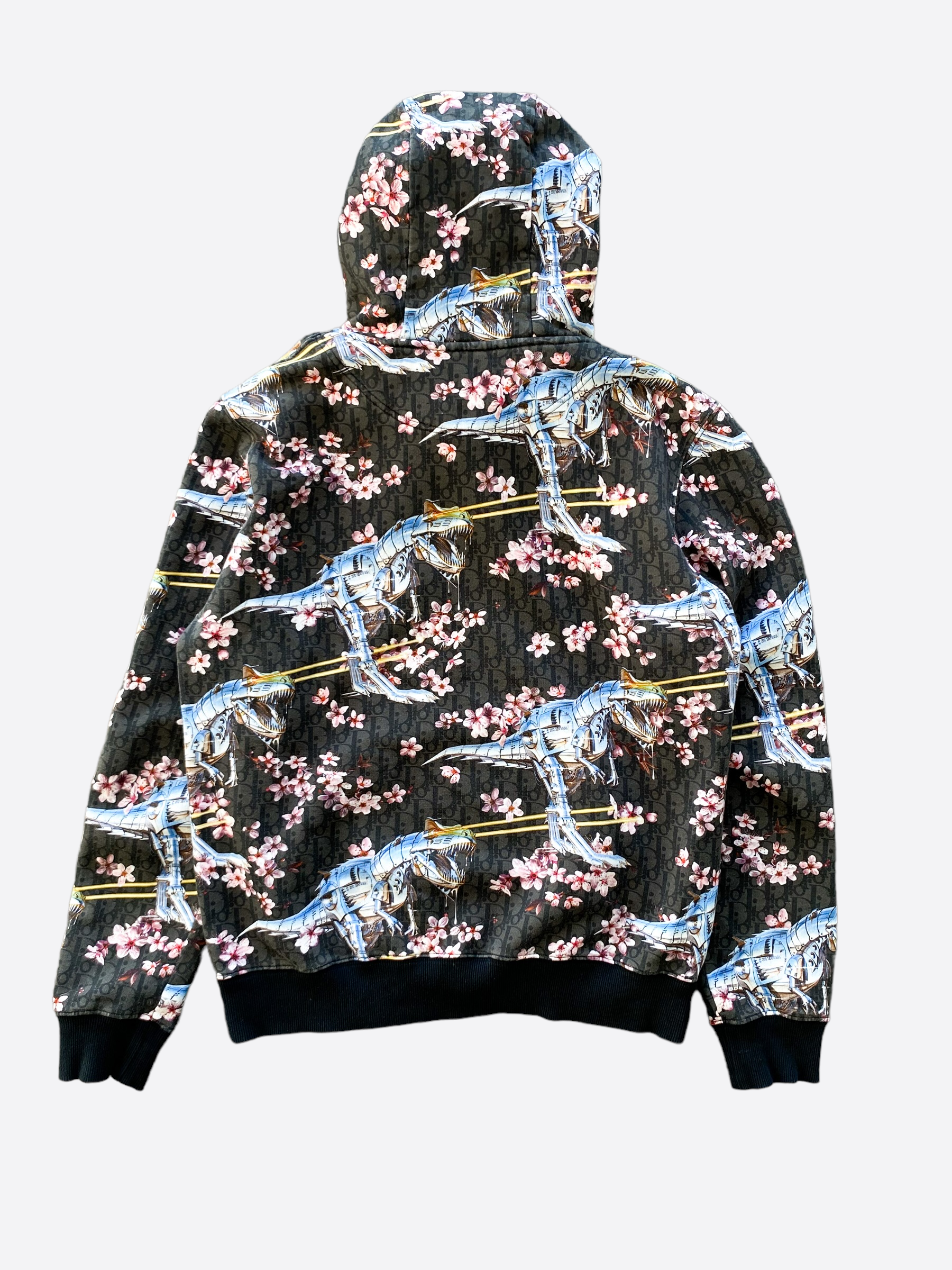 Dior Sorayama Oblique Dinosaur Hoodie Savonches