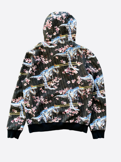 Dior Sorayama Oblique Dinosaur Hoodie