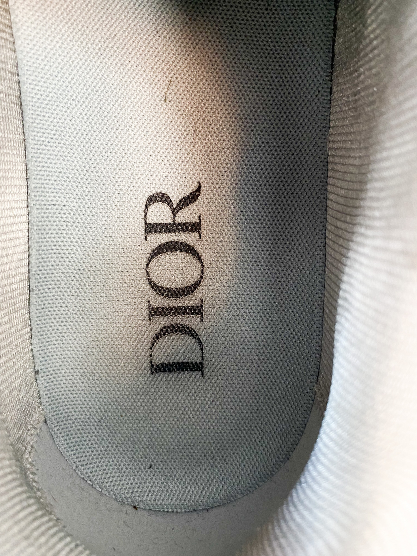 Dior White & Grey Oblique Low Top Sneakers