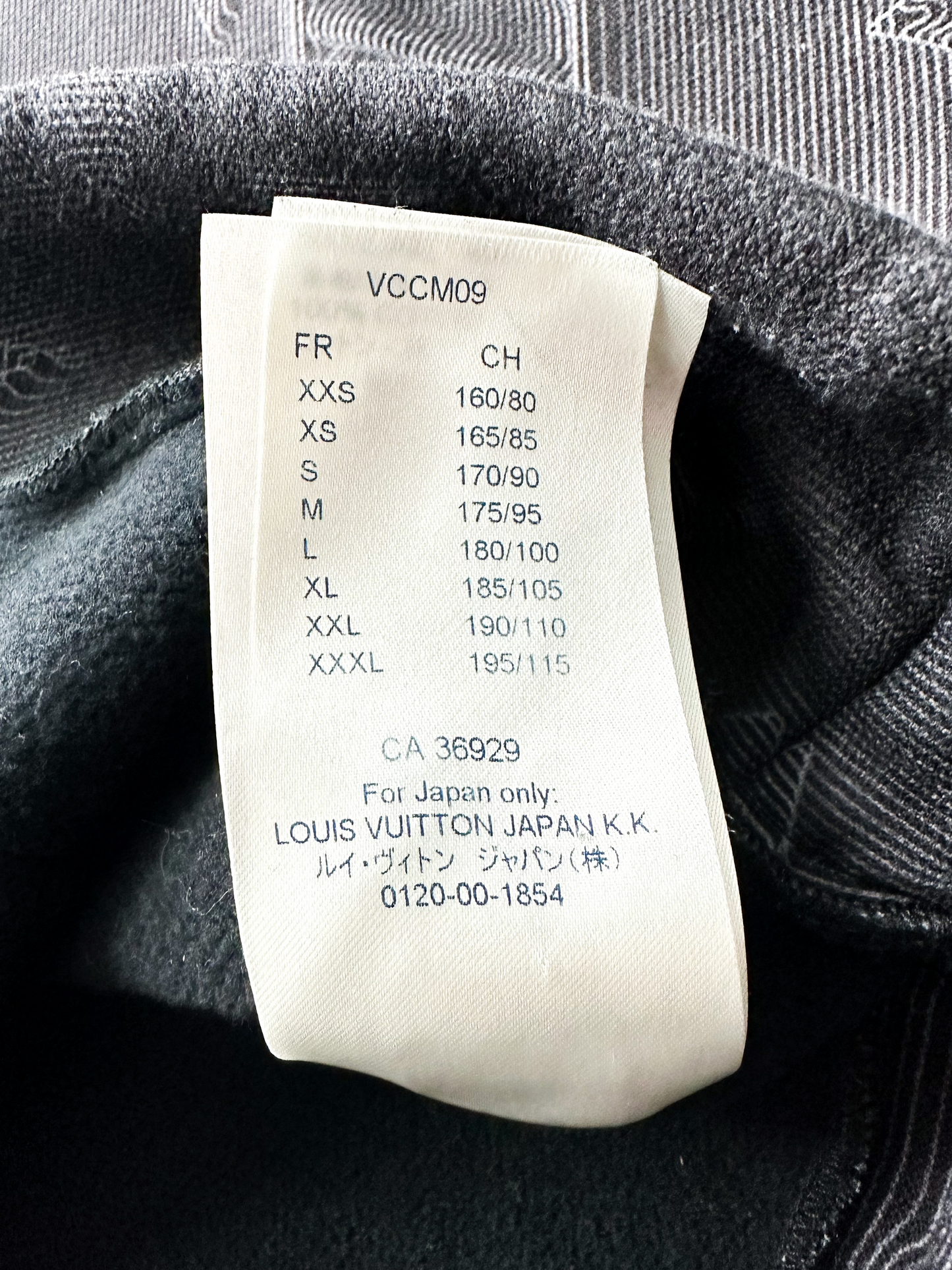 Louis Vuitton 2054 Hoodie New, Men's Fashion, Tops & Sets, Hoodies