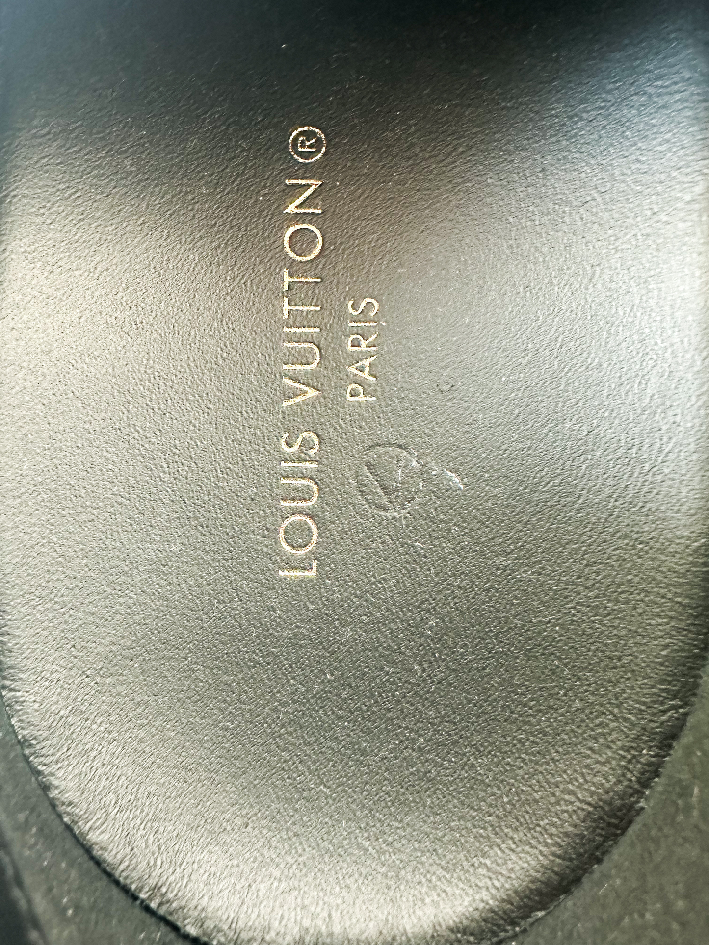 Louis Vuitton Black Iridescent Textile Monogram Mens Run Away Sneakers –  The Closet