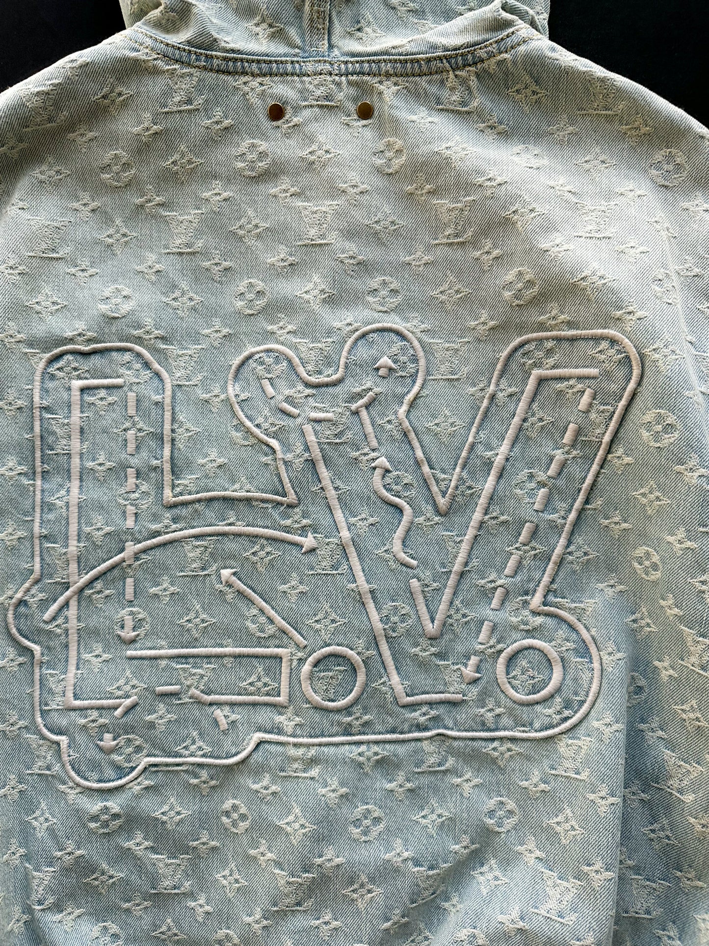 Louis Vuitton Reflective Coat