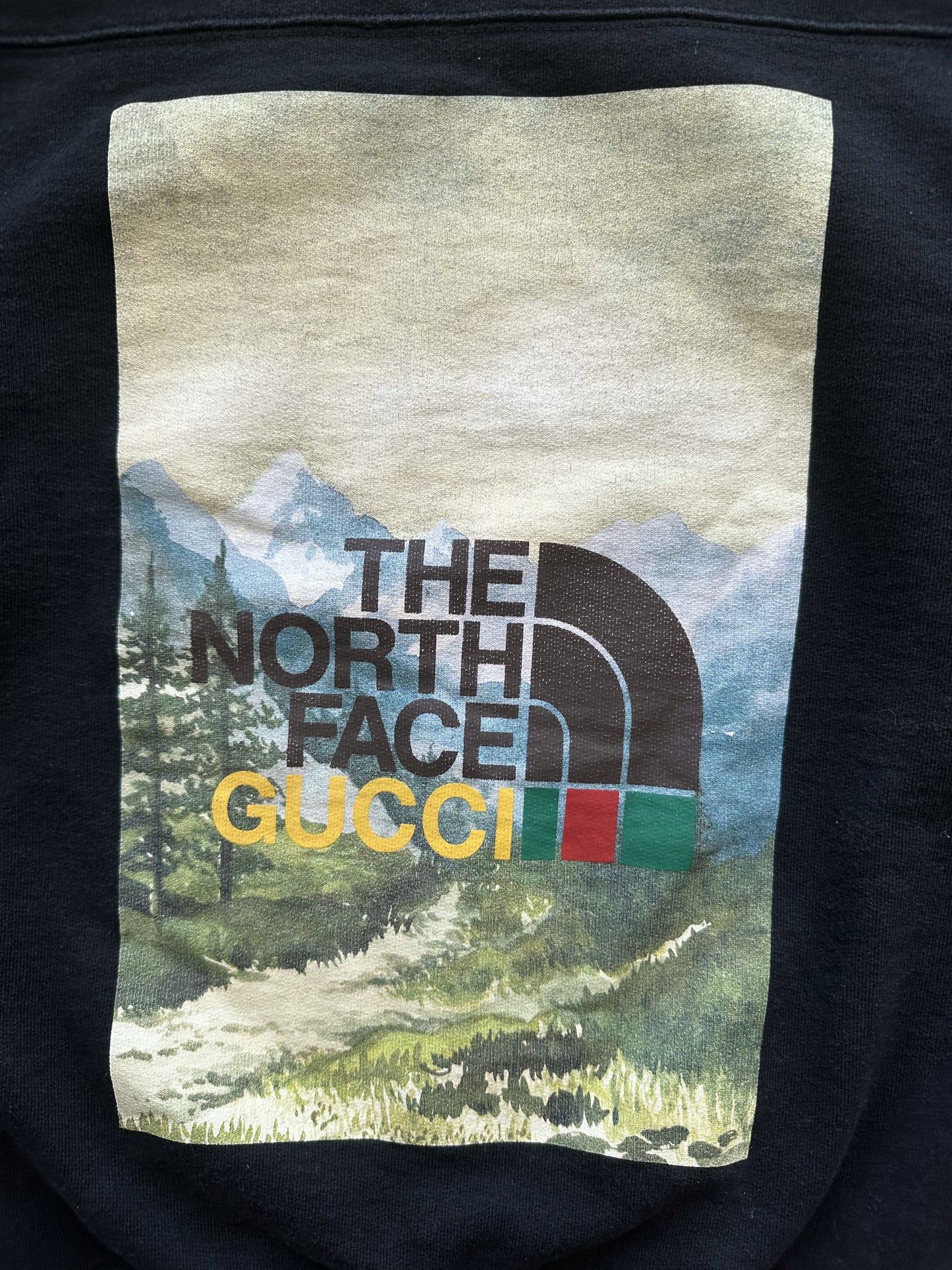 Gucci The North Face Gucci Black Graphic Print Hoodie