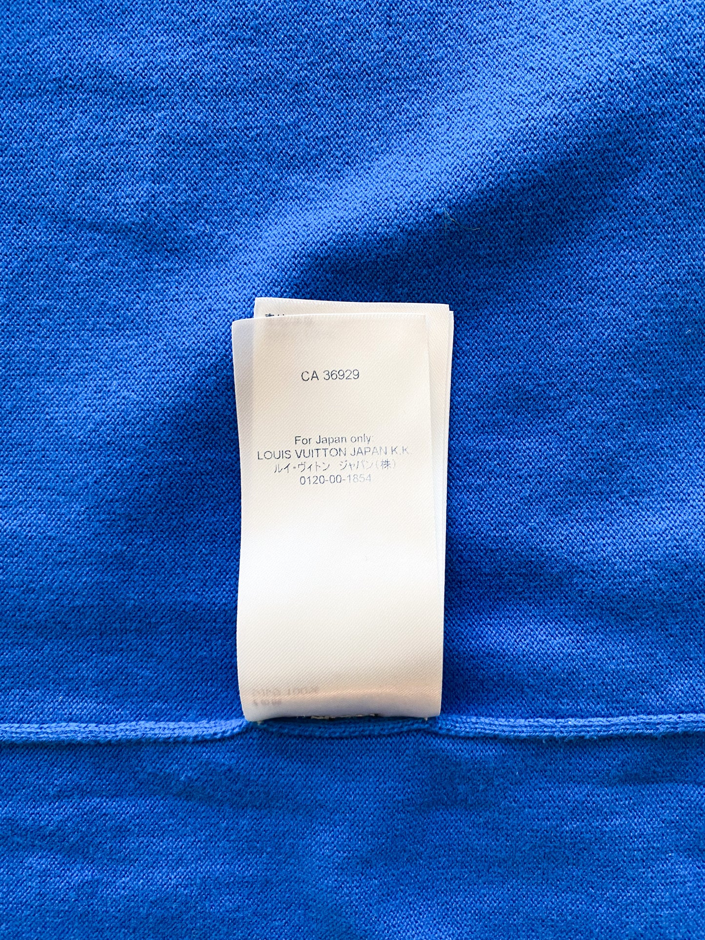 Louis Vuitton Blue Everyday Logo Tee