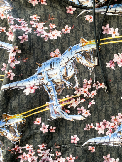 Dior Sorayama Oblique Dinosaur Hoodie Savonches