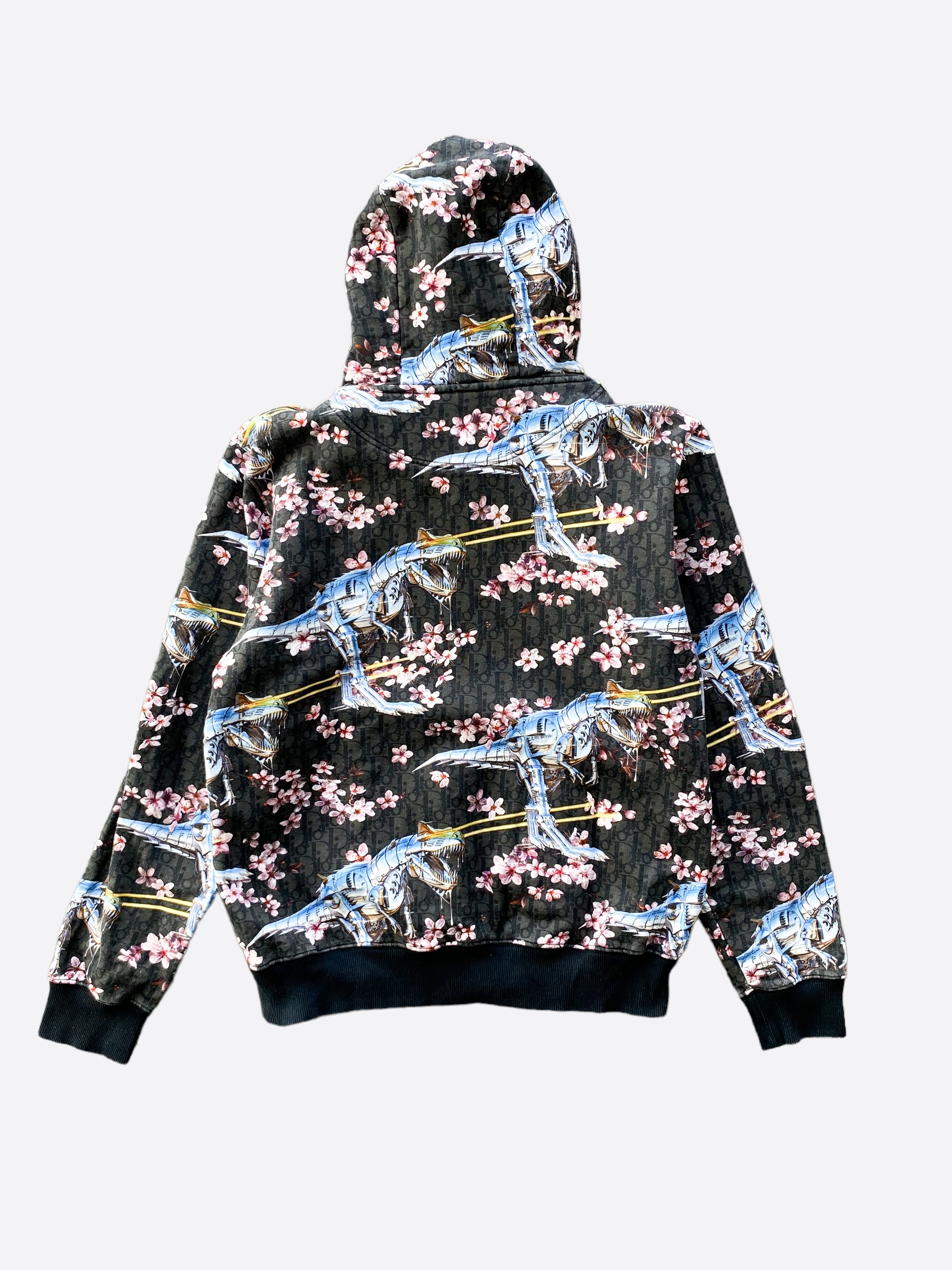 Dior dinosaur hoodie best sale