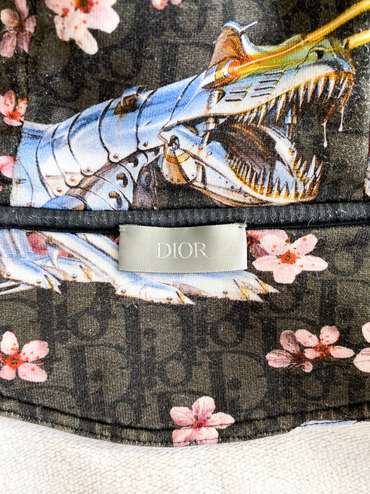 Dior dinosaur hoodie shop