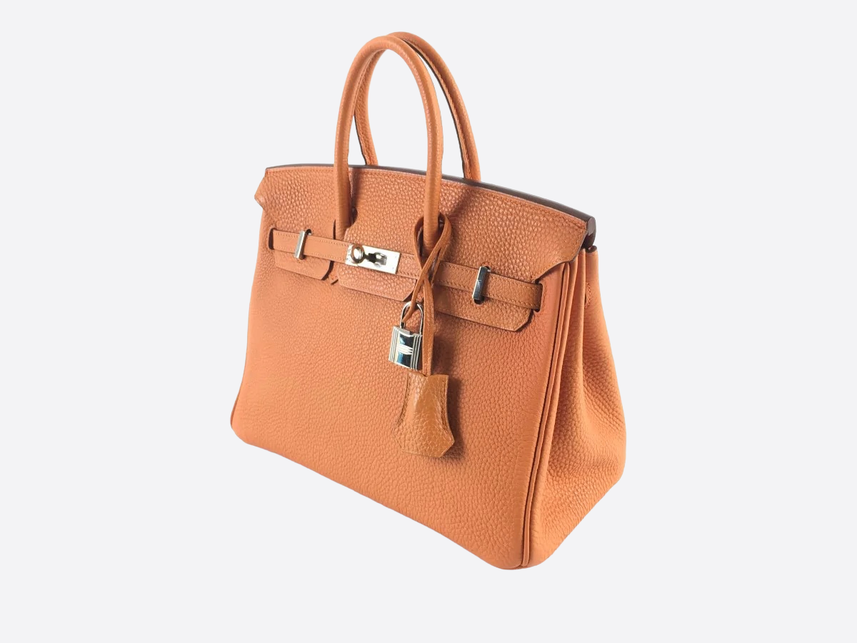 Hermes birkin 2025 25 togo price
