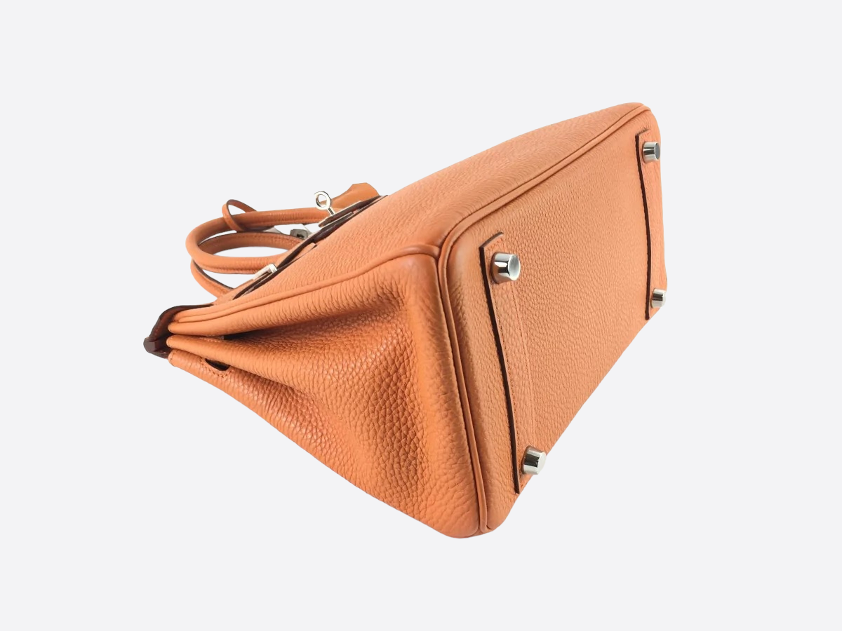 Hermès Orange Togo Leather Birkin 25 – Savonches