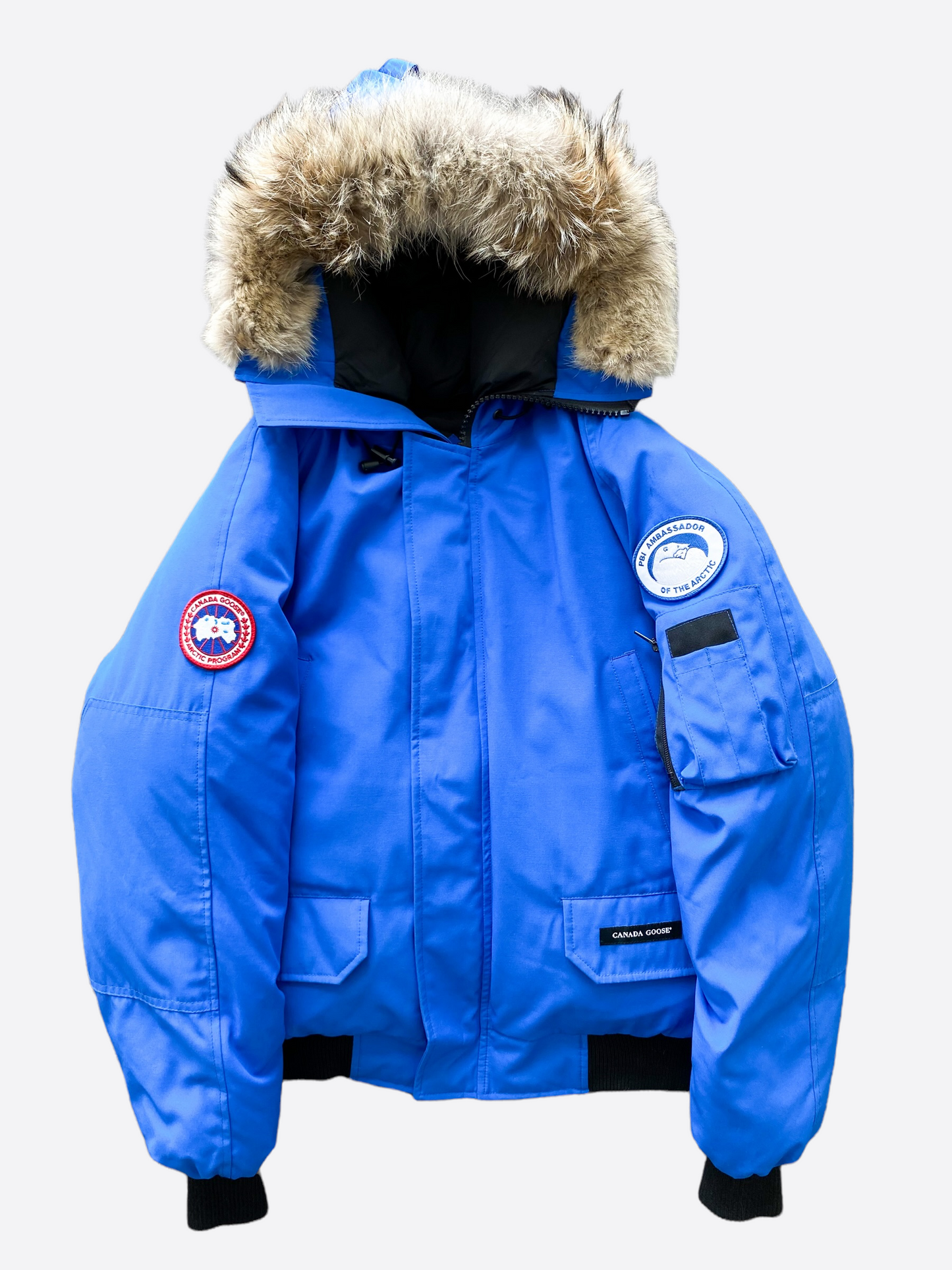 Royal blue store canada goose