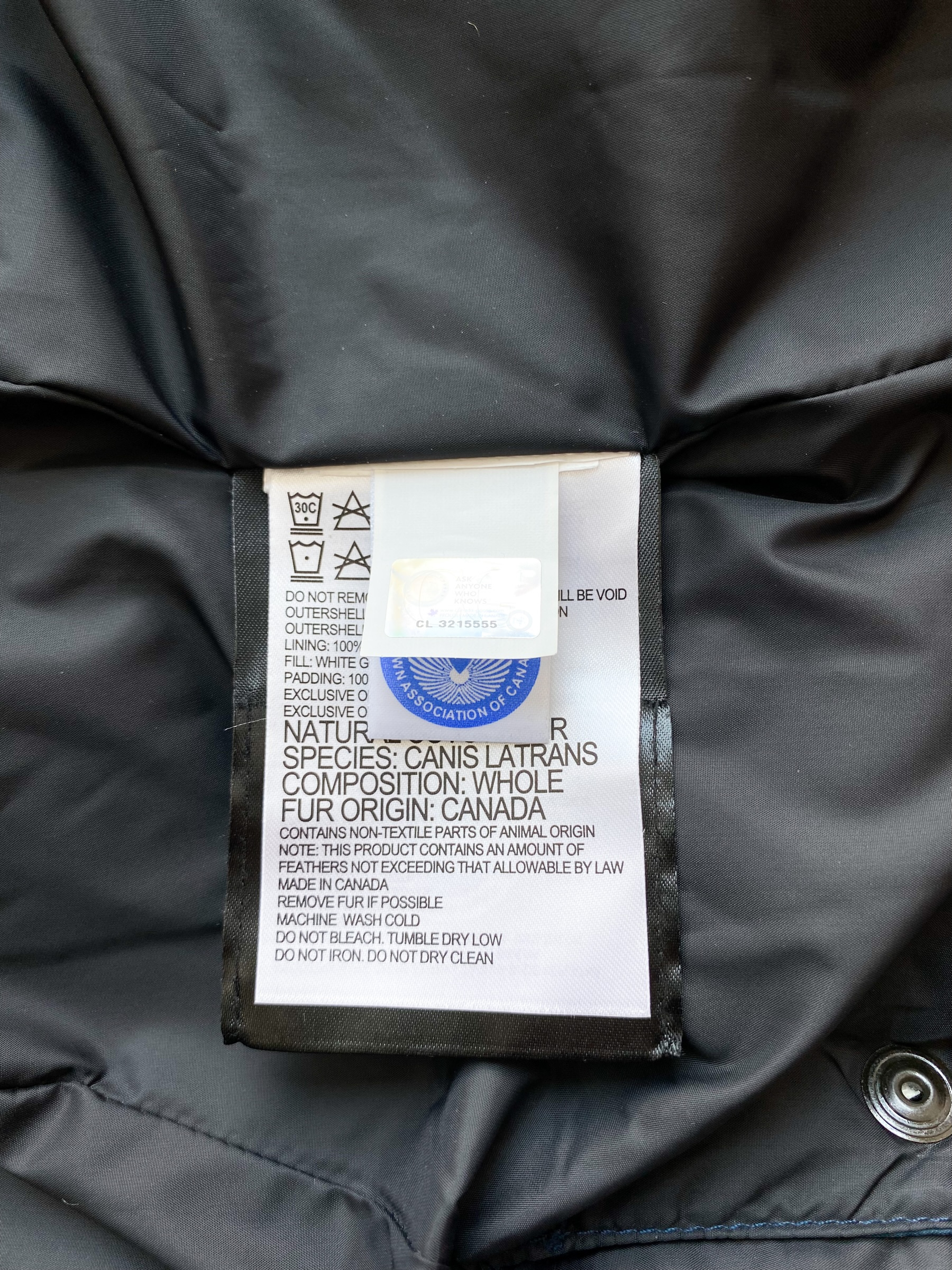 Callaghan 2025 canada goose