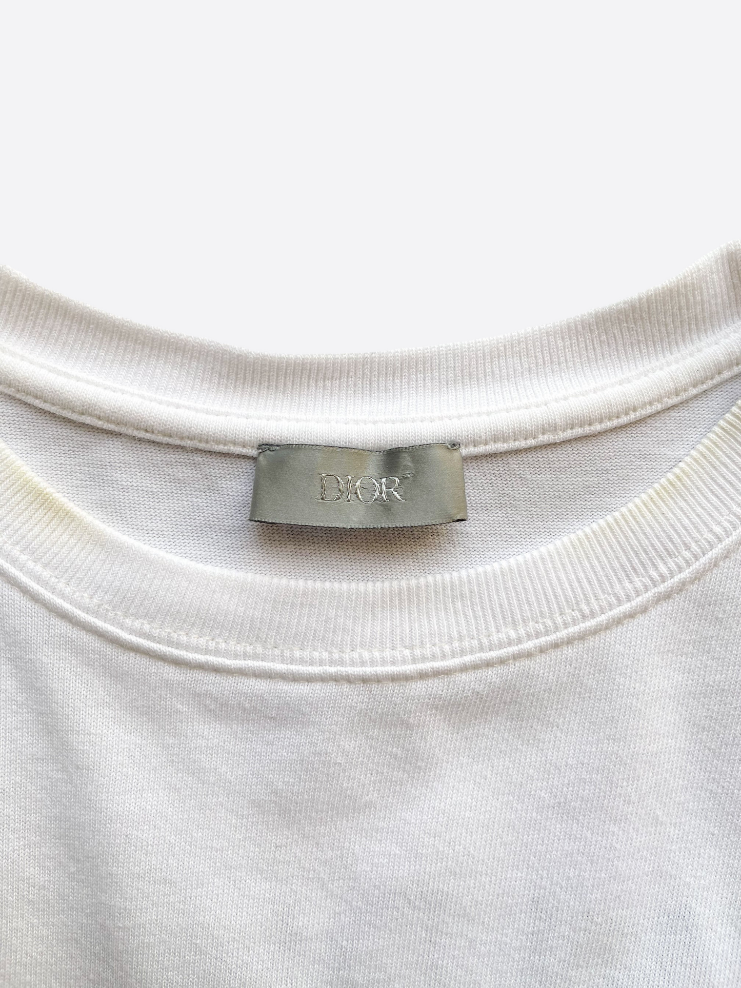 Dior Raymond Pettibon Logo Tee